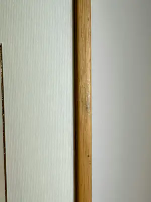 Alexander Repka - Vooraanzicht van een vrouw in beweging kopen? Bied vanaf 100!