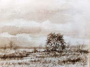 Jos Leurs - Landschap (sepia tekening) verkocht voor € 45!