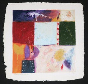 Alexander Vogels - Zeefdruk, Evolutions VII kopen? Bied vanaf 1!