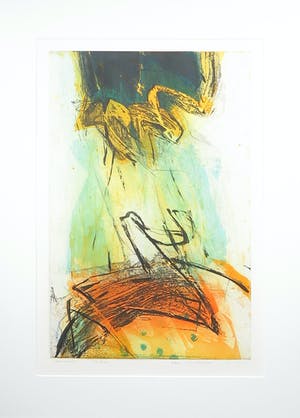 Hans Vredegoor - Ets, Cascatelle - Ingelijst kopen? Bied vanaf 1!