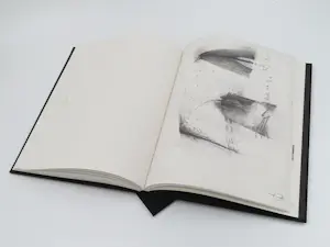 Peter Langenberg - Uit de tweede hand kopen? Bied vanaf 25!