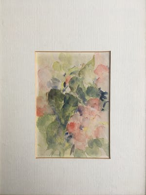 Willie van Haard - Bloemen kopen? Bied vanaf 25!