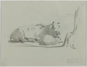 Simon Simonsen - Tekening, Bos indicus / Zeboe, ca. 1875 kopen? Bied vanaf 1!