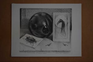 Hans van Dokkum - Im memoriam Cees B. kopen? Bied vanaf 40!