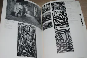 Jacoba van Heemskerck van Beest - Oevrecatalogus/monografie 2005__&__ (collectie)catalogus 1982 kopen? Bied vanaf 75!