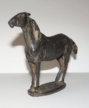 Floyd Tennison Dewitt - Paard kopen? Bied vanaf 850!