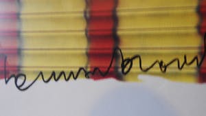 Herman Brood - de wasvrouw kopen? Bied vanaf 40!