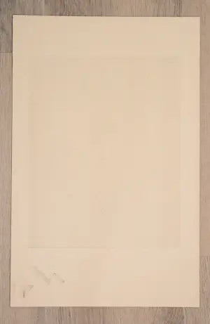 Debora Duyvis - Wijze schippers beuzelen niet kopen? Bied vanaf 35!