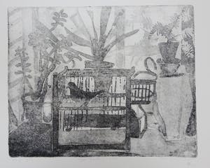 Hans Siegmund - vogelkooi kopen? Bied vanaf 60!