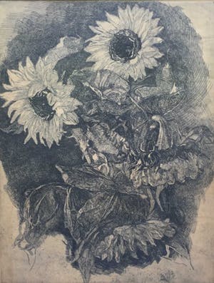 Antoon Derkzen van Angeren - C3846 - Zonnebloemen kopen? Bied vanaf 50!