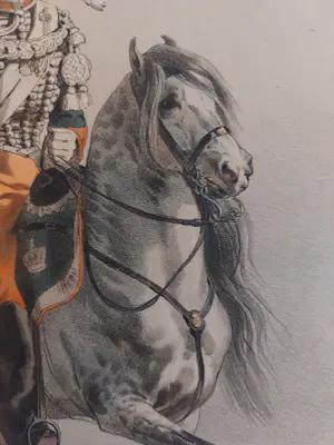 Hippolyte Lalaisse - Chasseur à cheval de la Garde kopen? Bied vanaf 25!