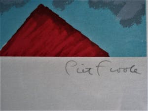 Piet Fioole - Gesigneerde Zeefdruk "on top of a red roof" zeer beperkte oplage! kopen? Bied vanaf 10!