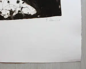 Gunter Damisch - "2 POLE" - Radierung - Auflage von 17- signiert - nummeriert kopen? Bied vanaf 400!