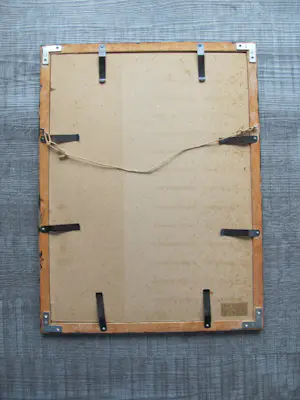 Ton Diekstra - Kuiken in ei kopen? Bied vanaf 55!