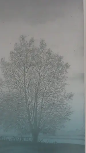 Hans Heijman - "" Wilgen aan de Maas "" kopen? Bied vanaf 25!