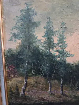 Kees van Ameijden - Boslandschap kopen? Bied vanaf 25!