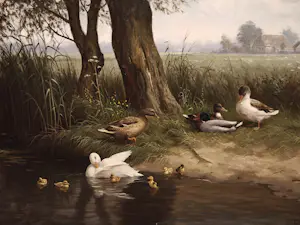 Ron Meilof - Eendjes kopen? Bied vanaf 695!