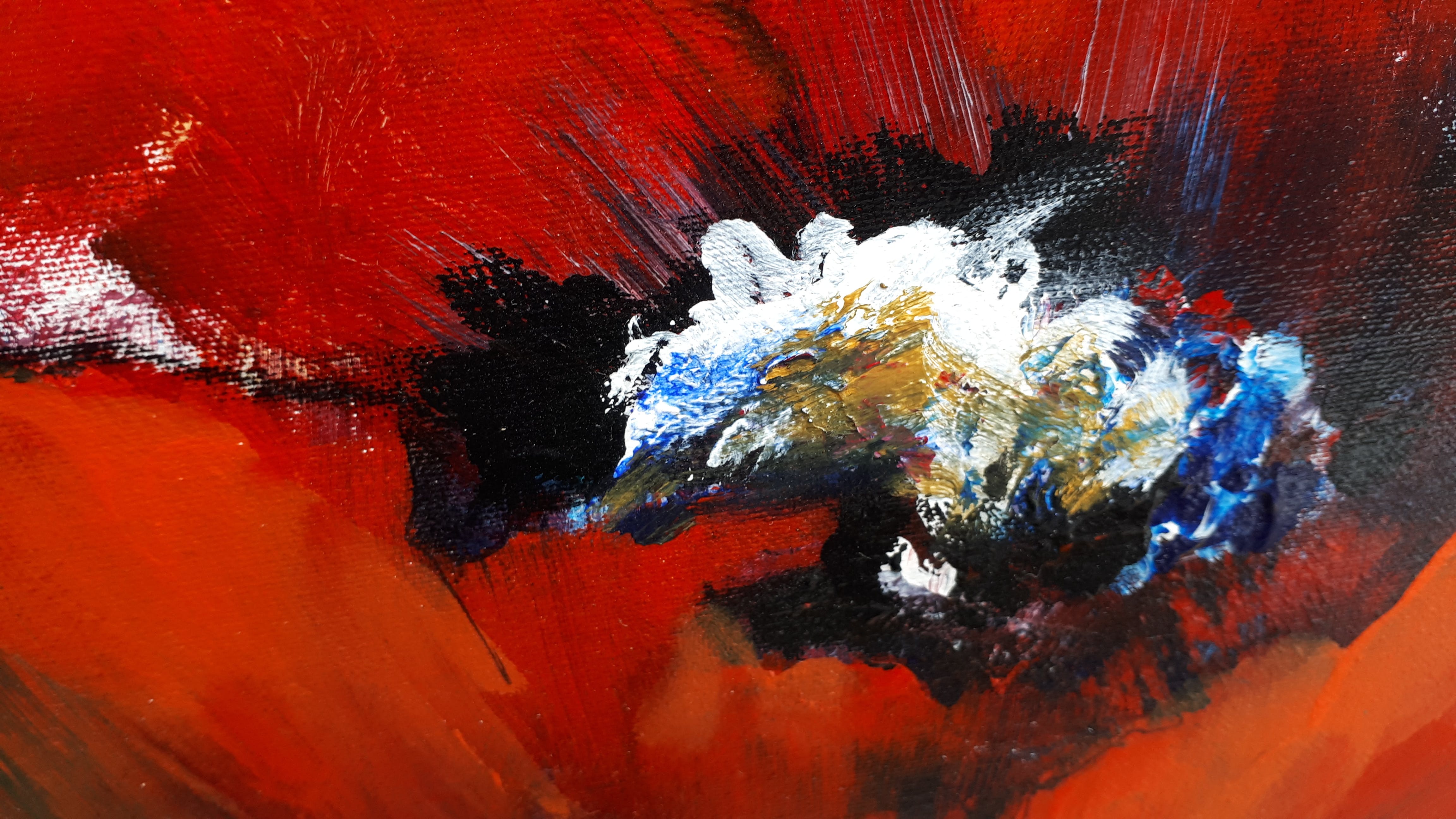 Anke Peddemors - Klaprozen kopen? Bied vanaf 40!