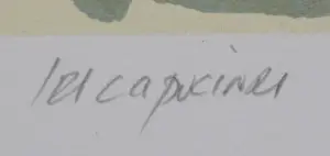 Fon Klement - Boardsnede: Capucine - 1998 kopen? Bied vanaf 99!