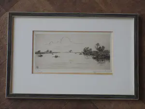 Johan Hemkes - Biesbos - Ets kopen? Bied vanaf 45!