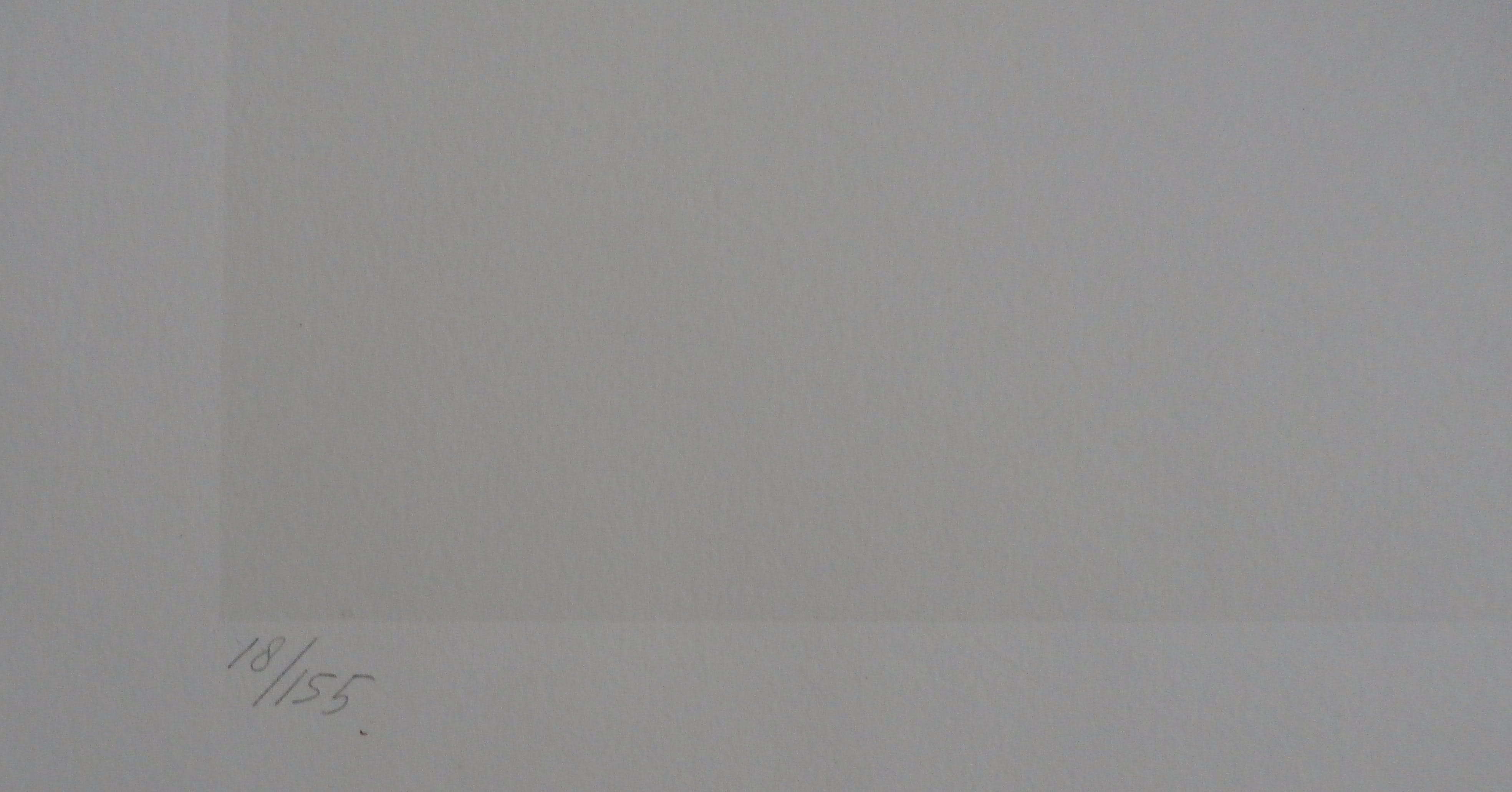 Klaas Gubbels - zeefdruk: verlegen schaduwen - 1981 kopen? Bied vanaf 100!