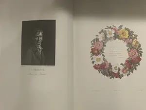 Pierre-Joseph Redoute - Les roses kopen? Bied vanaf 1200!