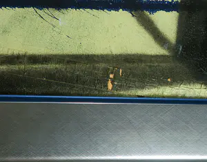 Herman Brood - Gem. Techniek op doek, Feyenoord - Ingelijst (Zeer groot) incl. HB-M cert. kopen? Bied vanaf 3000!