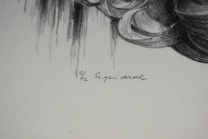 Hans van Dokkum - De ogenboom kopen? Bied vanaf 60!