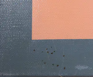 M. A. H. Reijner - Olieverf op tempera op doek, Compositie 2 - Ingelijst (Groot) kopen? Bied vanaf 1!