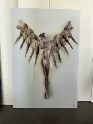 Guy van Grinsven - Uit de serie “Limburg in het wild” : Eefje, crucifixion vendu pour 2200€ !