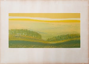 Fred Schimmel - Landschap - steendruk 18/65 - ingelijst - 21889 kopen? Bied vanaf 1!