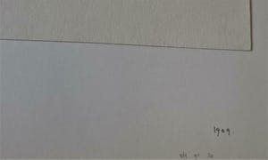 Theo van Hoytema - 'Witte kaketoe aan ketting op stok' kopen? Bied vanaf 50!