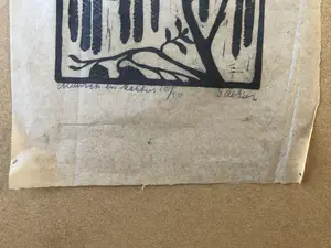 Jac. de Beer - Koolmees met katjes kopen? Bied vanaf 1!