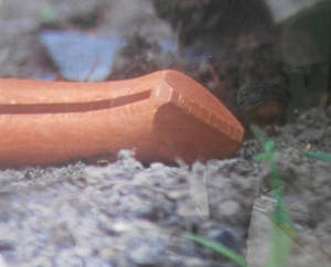 Robert Wevers - De kool, het mes en de hand kopen? Bied vanaf 125!