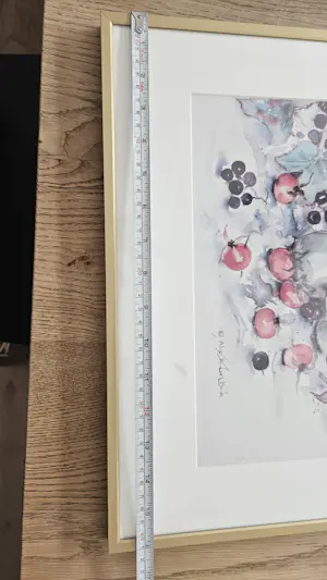 Alie Kruse-Kolk - Druiven en Appels kopen? Bied vanaf 25!