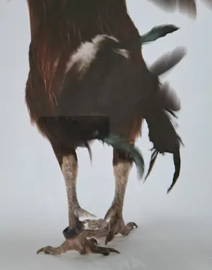 Koen Vanmechelen - Fighter kopen? Bied vanaf 495!