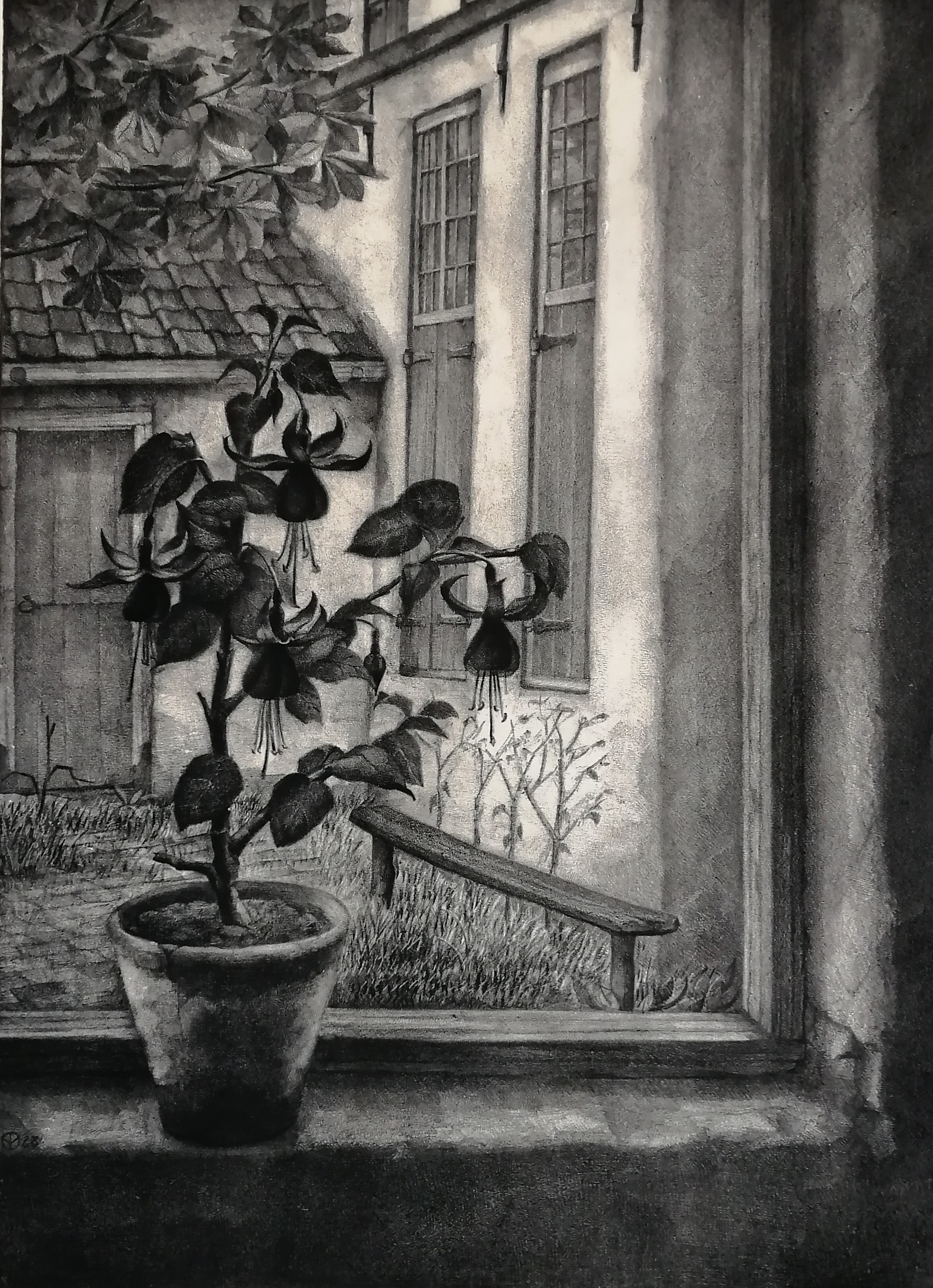 Aart van Dobbenburgh - Fuchsia in vensterbank verkocht voor € 70!