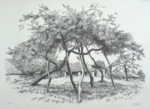 Patrick Creyghton - Gestutte boom, litho kopen? Bied vanaf 35!