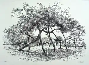 Patrick Creyghton - Gestutte boom, litho verkocht voor € 35!