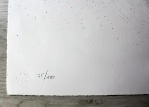 Günther Uecker - Lithographie - Auflage von 100 - handsigniert - (85 x 62 cm) kopen? Bied vanaf 899!