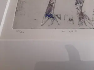 Lia van Leeuwen - Kleuren ets, nr 9815 kopen? Bied vanaf 35!