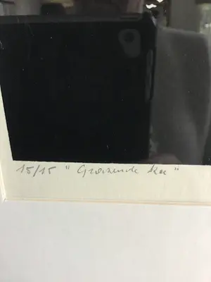 Paul De Cocker - Grazende koe kopen? Bied vanaf 25!