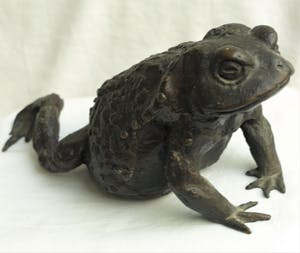 Niet of onleesbaar gesigneerd - Bronzen beeld , Kikker / Pad kopen? Bied vanaf 10!