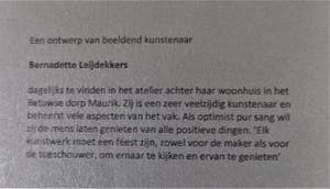 Bernadette Leijdekkers - Nieuwe Visie - Legering Verbronsd kopen? Bied vanaf 70!