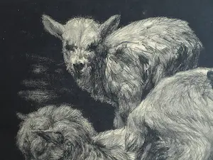 Dirk Homberg - 3x Litho , “Geitjes” – ca 1935 kopen? Bied vanaf 25!
