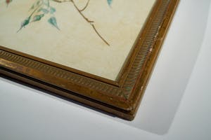 Niet of onleesbaar gesigneerd - 3 aquarellen in jugendstil kopen? Bied vanaf 1!