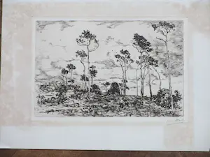 Willem de Zwart - Hakhout laden - Ets kopen? Bied vanaf 35!