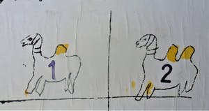 Viktor IV - EEN APRIL. kopen? Bied vanaf 140!