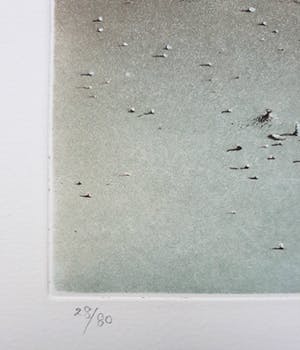 Hiroshi Asada - Wrakhout, aquatint ets kopen? Bied vanaf 55!