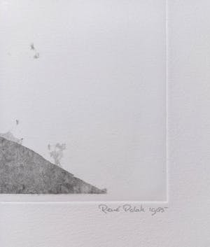 Rene Polak - Kudde, aquatint ets (kleine oplage) kopen? Bied vanaf 50!